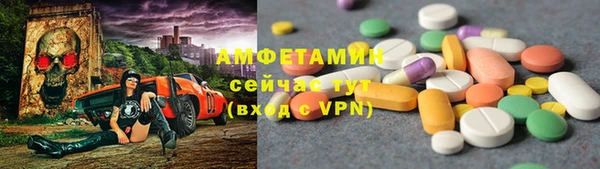 ПСИЛОЦИБИНОВЫЕ ГРИБЫ Заволжье
