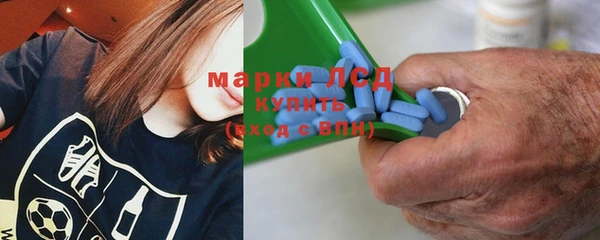 ПСИЛОЦИБИНОВЫЕ ГРИБЫ Заволжье