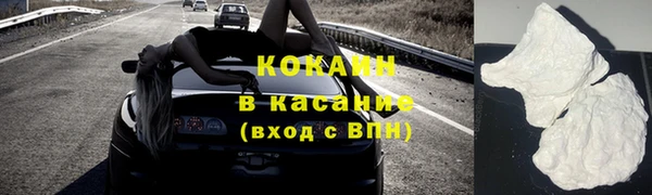 ПСИЛОЦИБИНОВЫЕ ГРИБЫ Заволжье