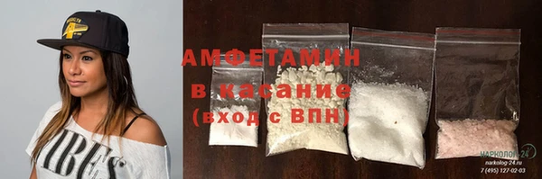ПСИЛОЦИБИНОВЫЕ ГРИБЫ Заволжье