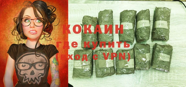 ПСИЛОЦИБИНОВЫЕ ГРИБЫ Заволжье