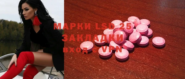 ПСИЛОЦИБИНОВЫЕ ГРИБЫ Заволжье