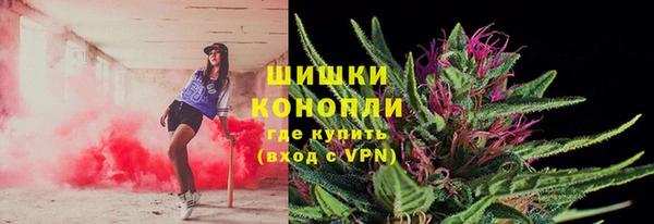 ПСИЛОЦИБИНОВЫЕ ГРИБЫ Заволжье