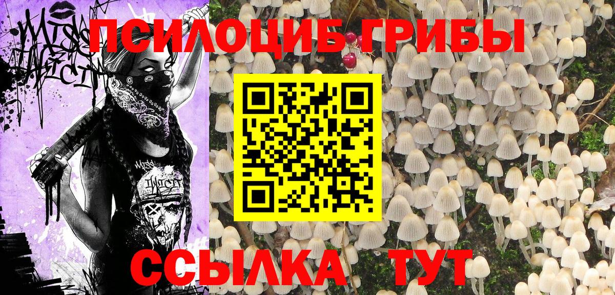 Галлюциногенные грибы мухоморы  Галлюциногенные грибы GOLDEN TEACHER  Березники 