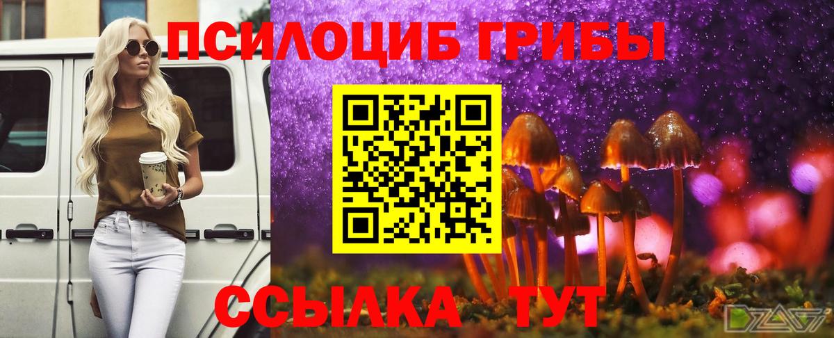 Псилоцибиновые грибы ЛСД  Вход с VPN  Псилоцибиновые грибы Cubensis  Березники 