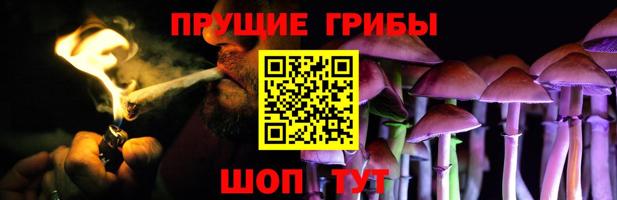 Псилоцибиновые грибы Magic Shrooms Березники