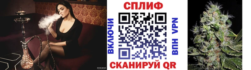 Бошки Шишки MAZAR  закладки  Березники 